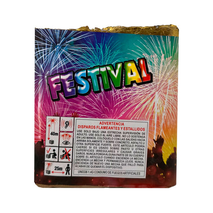 Festival